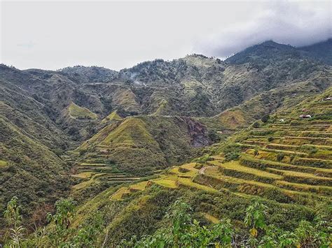 Kalinga (province) .